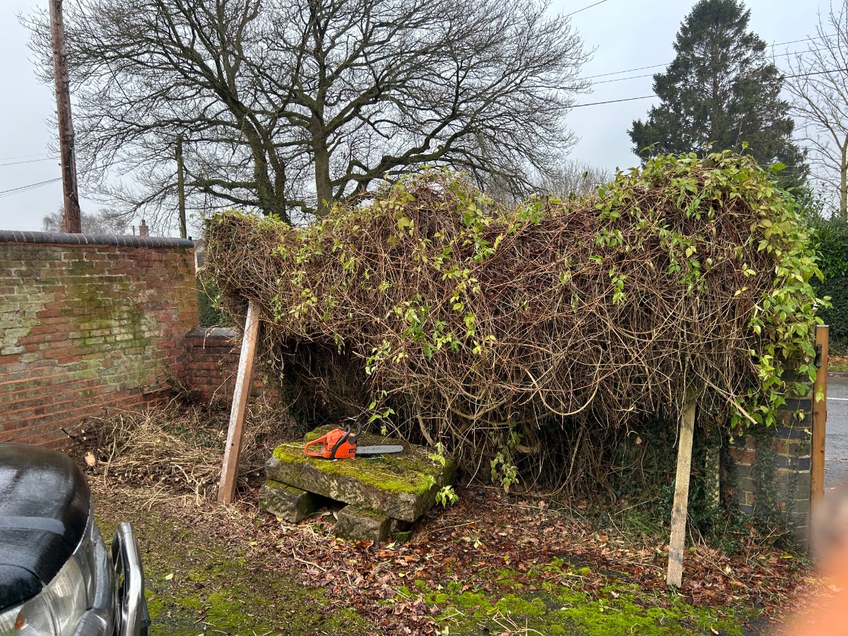 Gardener: Image 7